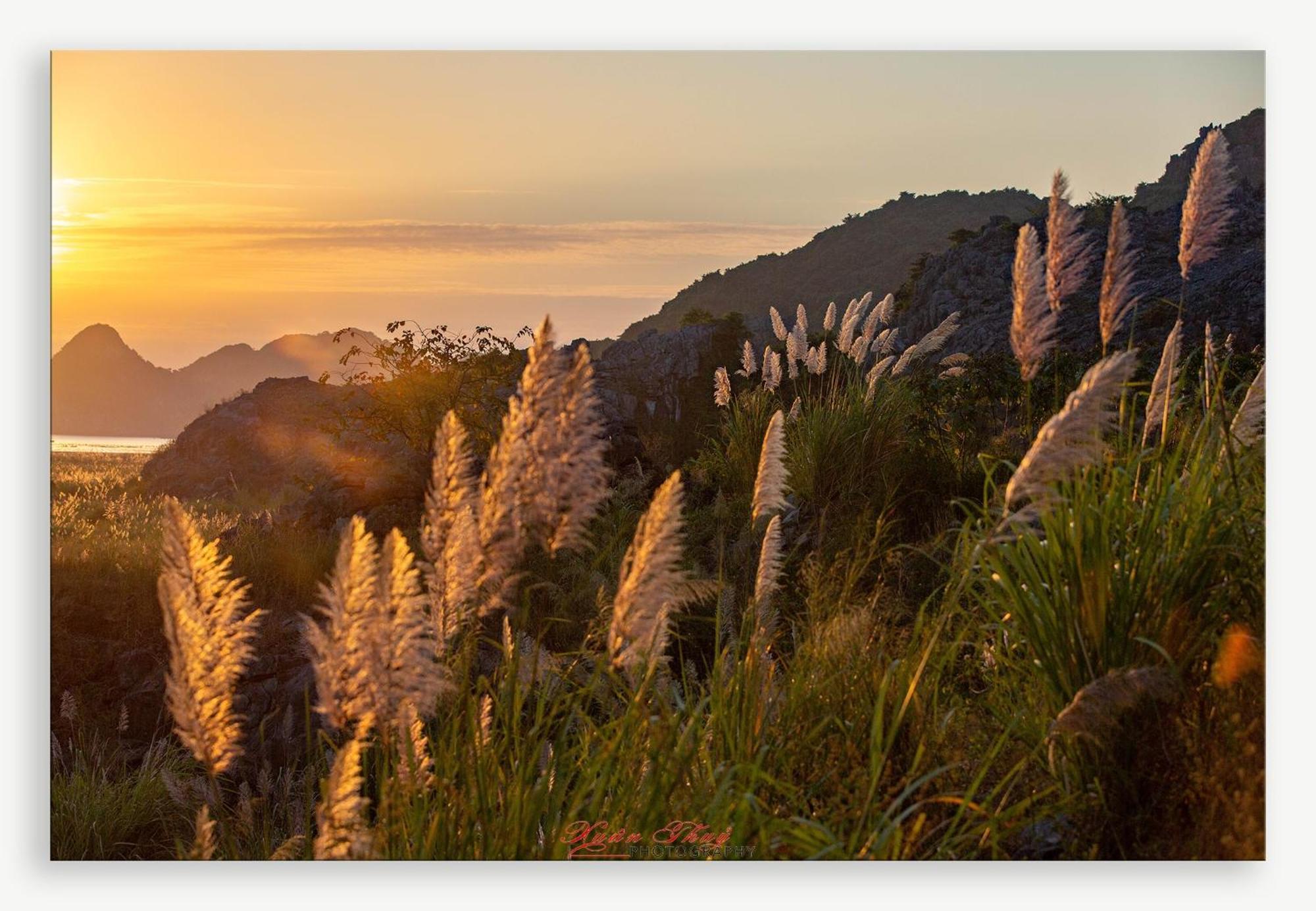 Cat Ba Island Garden Homestay - Papillon Ngoại thất bức ảnh